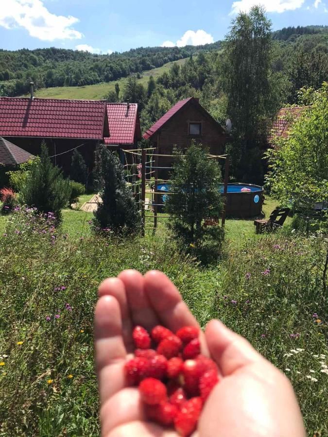 Гостевой дом Teremok Guest House Вышка-9