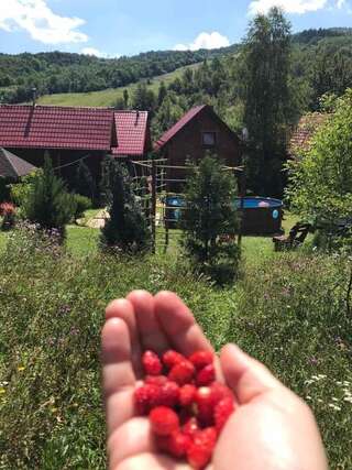 Гостевой дом Teremok Guest House Вышка-5